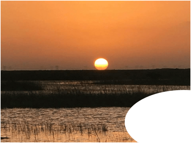 night airboat tours