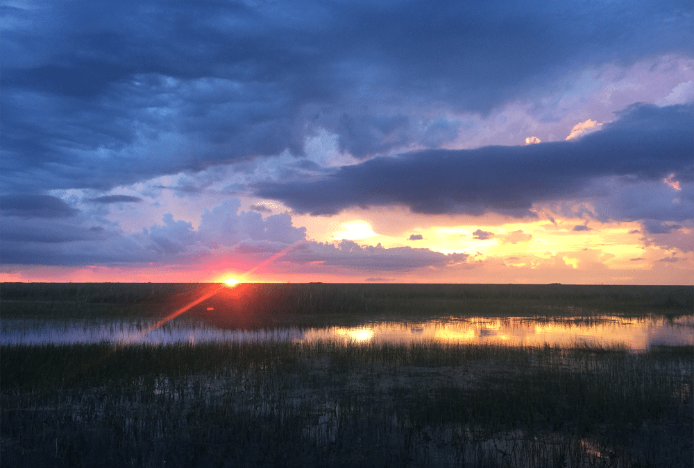 How Your Sugar Consumption Affects What You See on a Sunset Airboat Tour of the Everglades