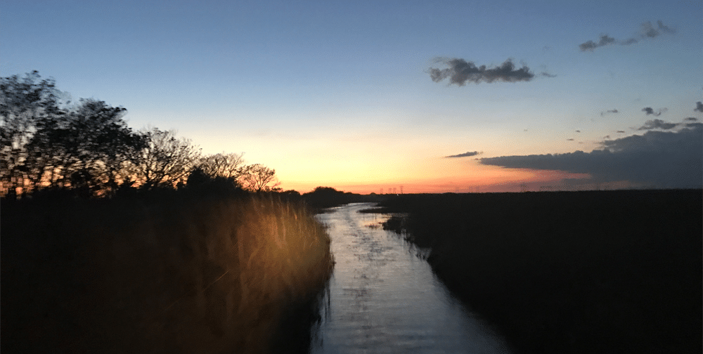 Everglades Airboat Tours in Fort Lauderdale, FL.