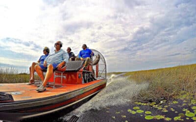 Everglade Airboat Tours