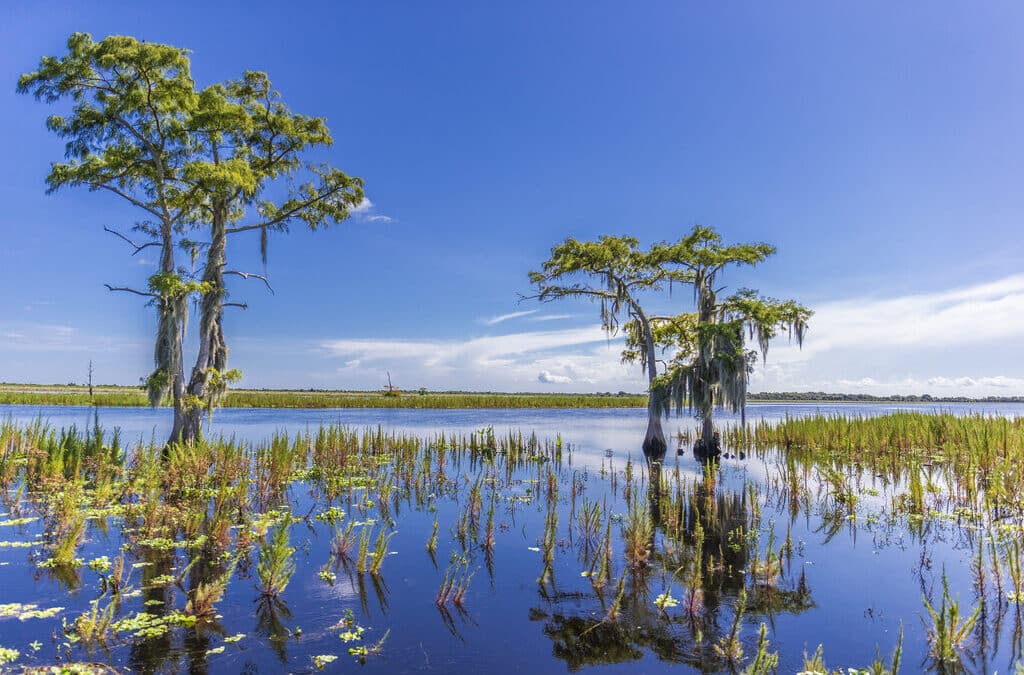 Why Go Bow Fishing on an Airboat Tour in Fort Lauderdale