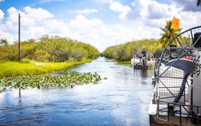 Everglades Attractions in Fort Lauderdale