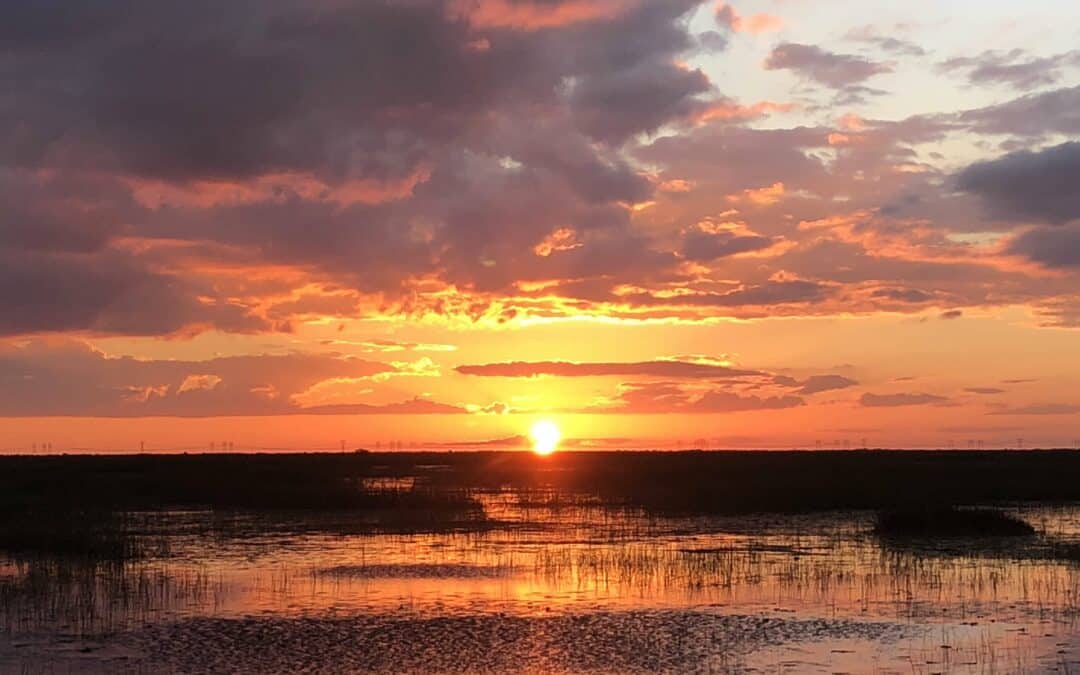 Sunset Everglades airboat rides in Fort Lauderdale, FL.