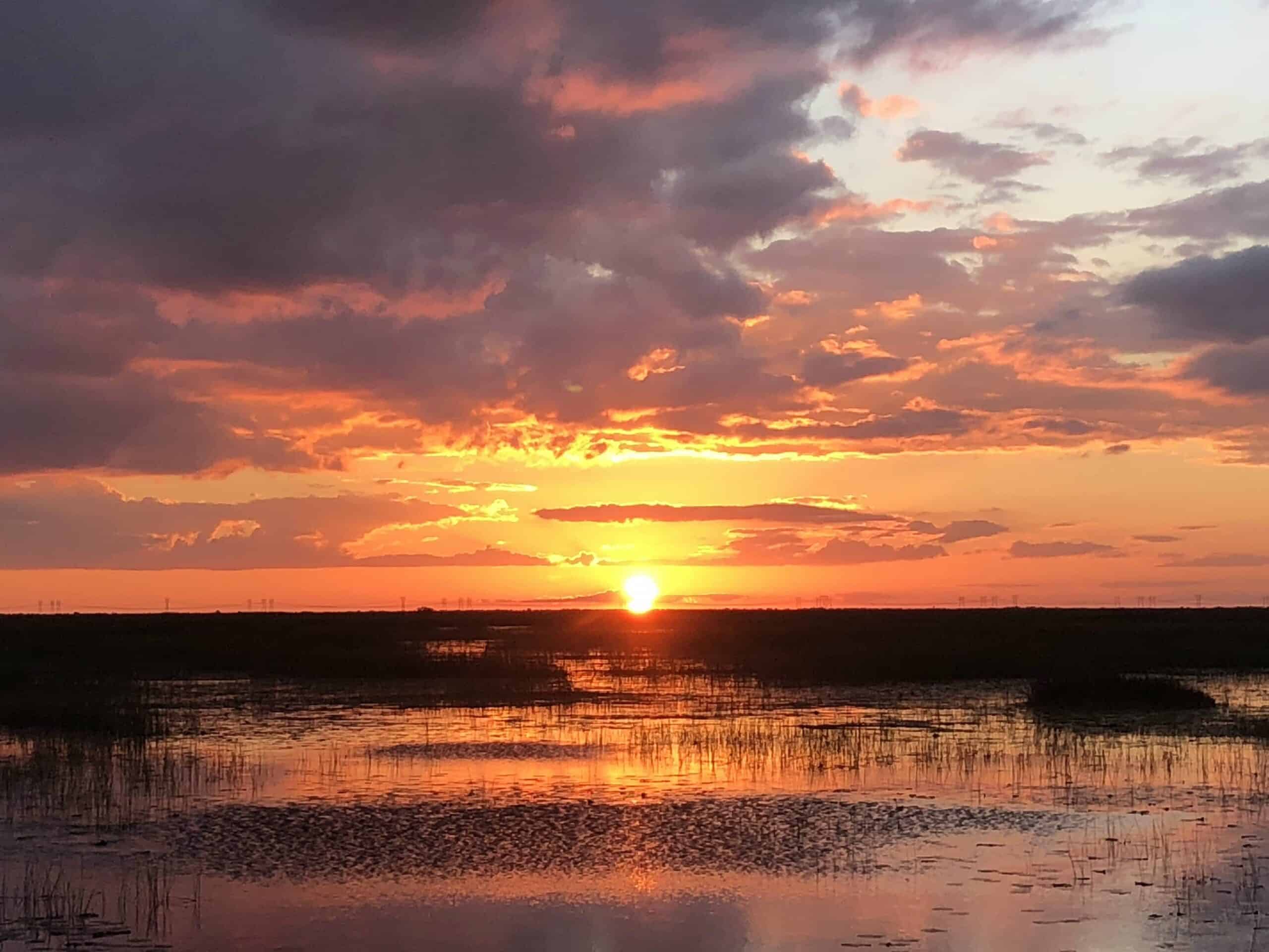 Sunset Everglades airboat rides in Fort Lauderdale, FL.