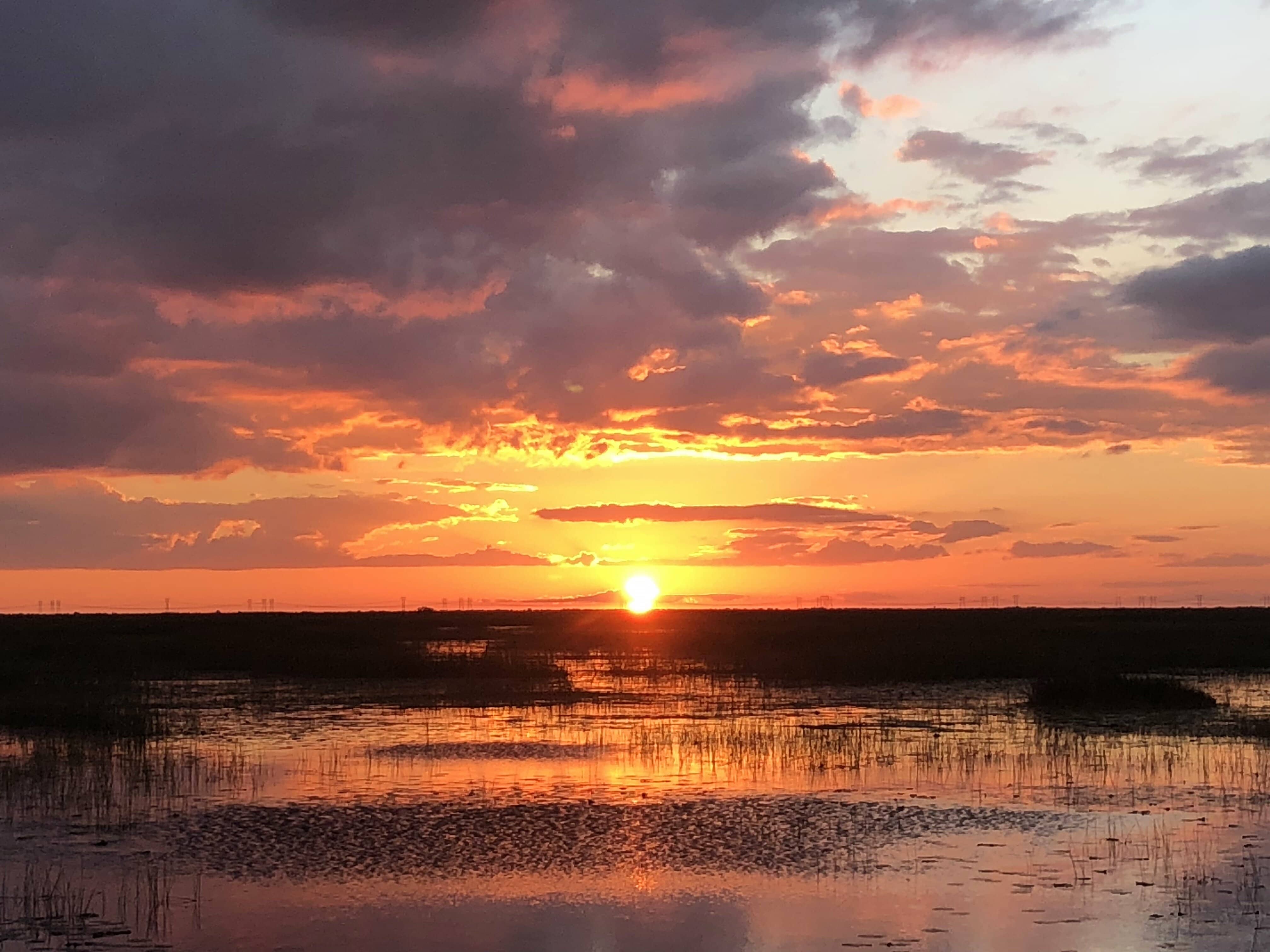 Everglades Sunset Airboat Tours in Fort Lauderdale, FL.