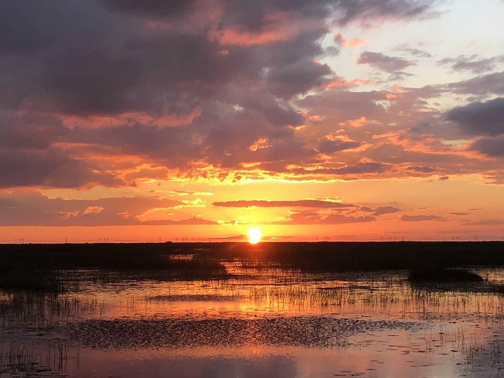 Everglades Sunset Airboat Tours in Fort Lauderdale.