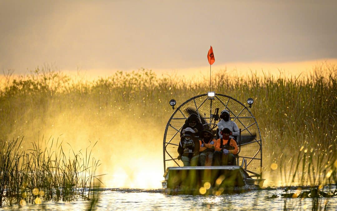 an image of several people riding on an airboat on a swamp, water spraying behind them, early morning light